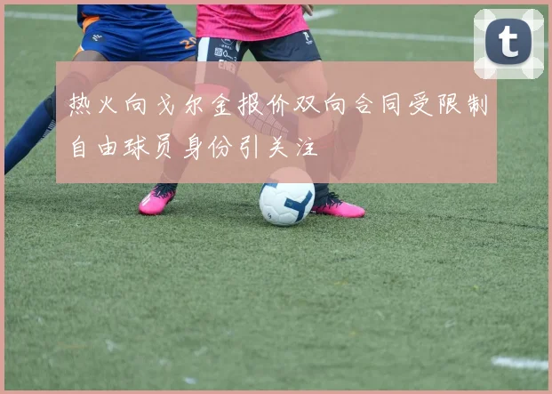 热火向戈尔金报价双向合同受限制自由球员身份引关注